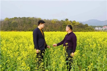 四十年綠脈：22.5萬畝土地上的生長與堅(jiān)守