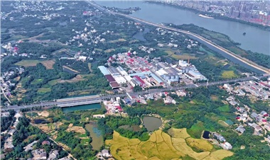 走向世界的油香｜40年長康，從湘陰洞庭到全球餐桌