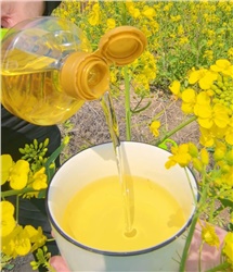 過年囤貨，買什么炒菜油更好更健康？