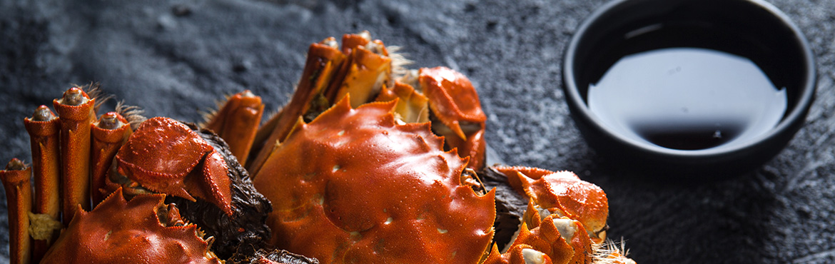 長康大紅浙醋 長康大紅浙醋